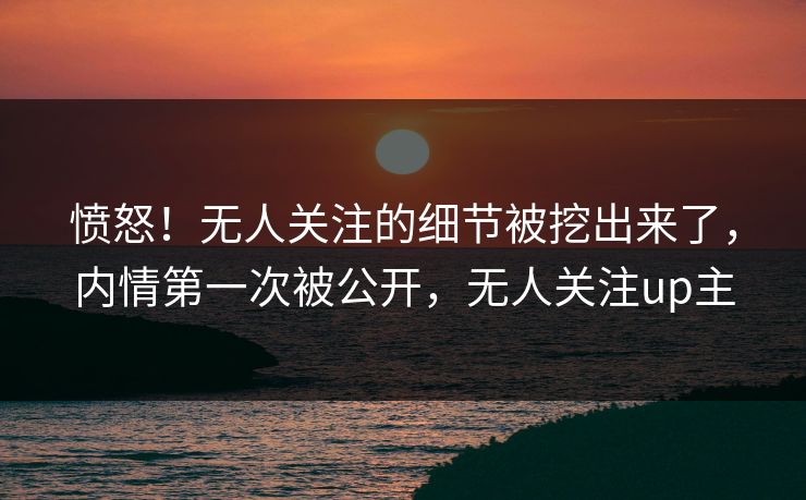 愤怒！无人关注的细节被挖出来了，内情第一次被公开，无人关注up主
