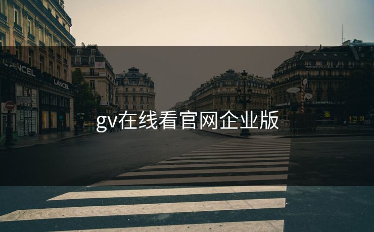 gv在线看官网企业版