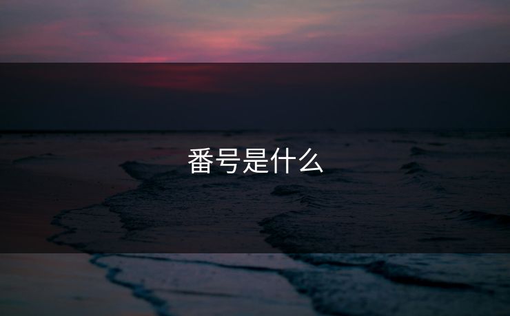 番号是什么